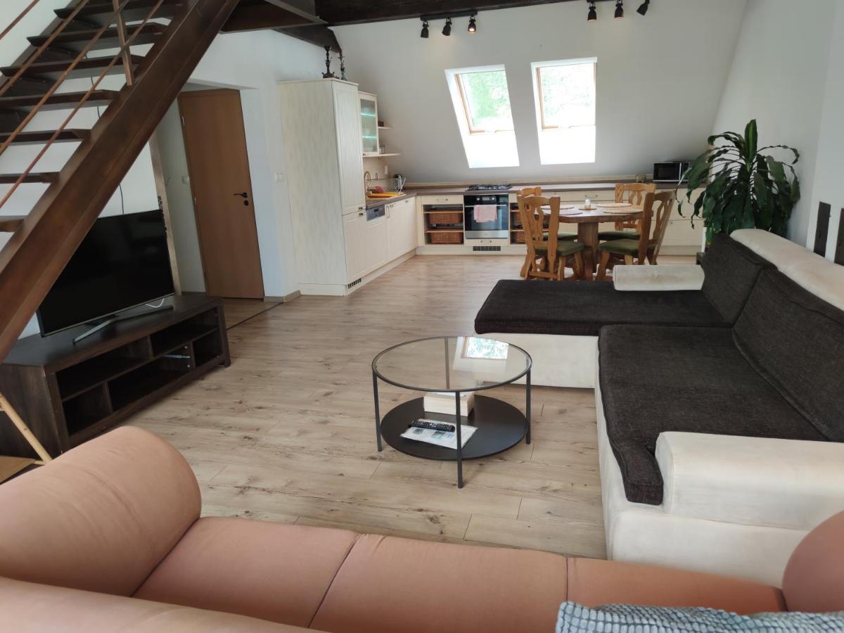 Attic Parkview Apartment ปิเอชตานี ภายนอก รูปภาพ