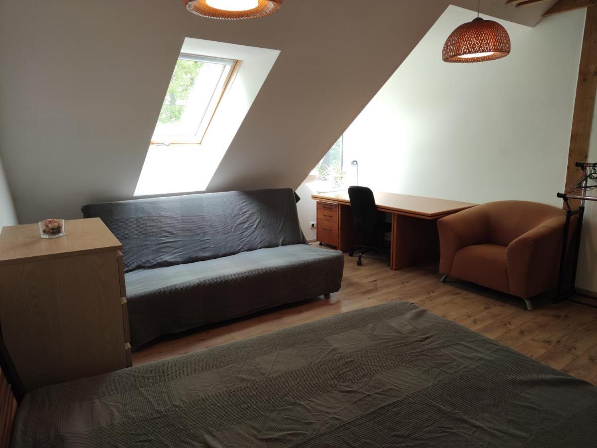 Attic Parkview Apartment ปิเอชตานี ภายนอก รูปภาพ